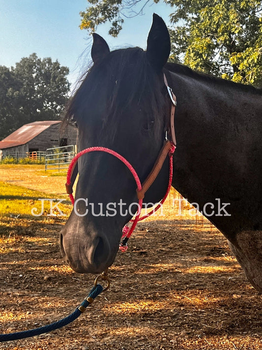 Work Horse Lariat Halter