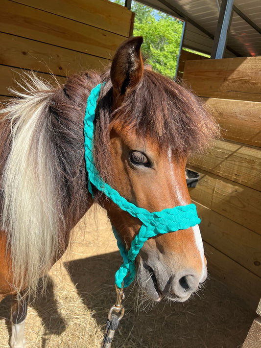 Pony/Foal Mule Tape Halter