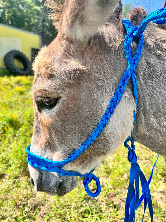 Donkey Mule Tape Halter!