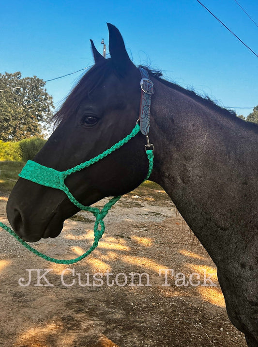 Horse Halter H2