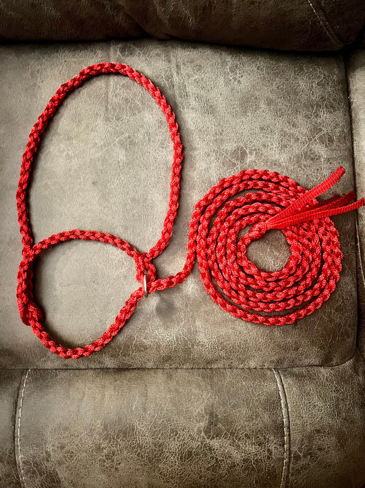 Cow Mule Tape Halter!