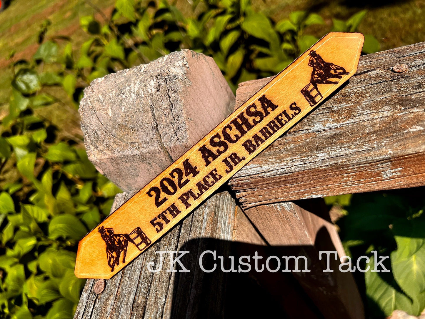 Horse Halter H2 for Custom Show Awards!